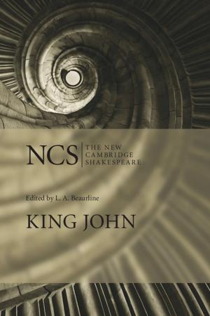Cover of the book King John by Robert E. Johnson