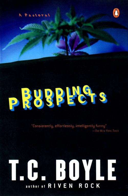 Cover of the book Budding Prospects by T.C. Boyle, Penguin Publishing Group