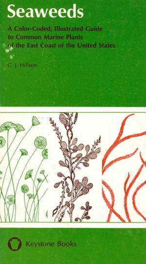 Cover of the book Seaweeds by Barbara Simerka