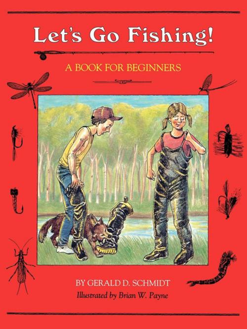 Cover of the book Let's Go Fishing! by Gerald D. Schmidt, Roberts Rinehart