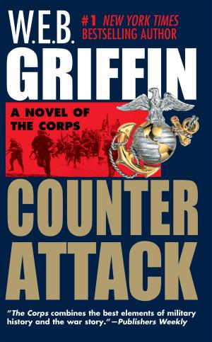 Cover of the book Counterattack by Lauretta Hannon