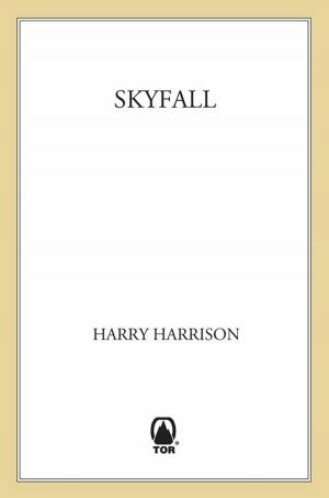 bigCover of the book Skyfall by 
