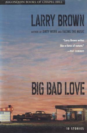 bigCover of the book Big Bad Love by 