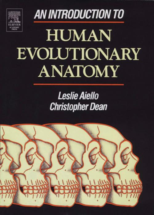 Cover of the book An Introduction to Human Evolutionary Anatomy by Leslie Aiello, Christopher Dean, Elsevier Science