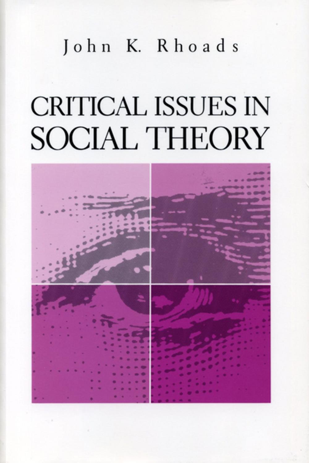 Big bigCover of Critical Issues in Social Theory