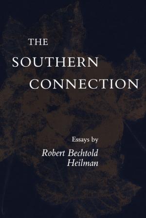 Cover of the book The Southern Connection by Mark Fernandez