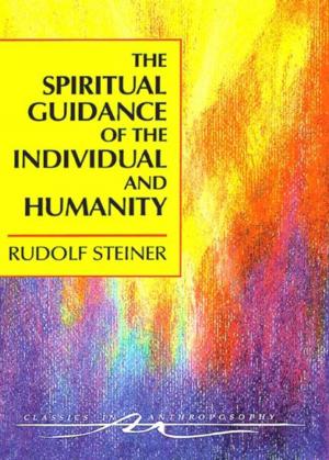 Cover of the book The Spiritual Guidance of the Individual and Humanity by Rudolf Steiner