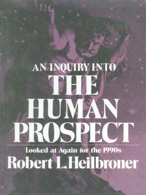 Cover of the book An Inquiry into the Human Prospect: Looked at Again for the 1990s by Charles J. Ogletree Jr.