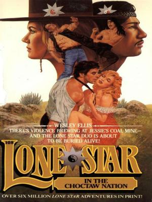 Cover of the book Lone Star 108/choctaw by Dr. John F. Demartini