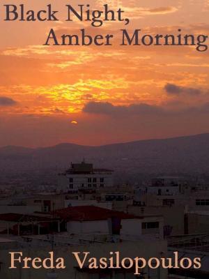 Book cover of Black Night, Amber Morning