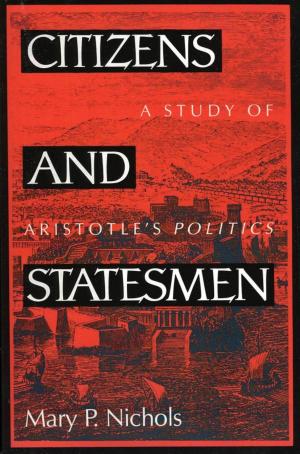 Cover of the book Citizens and Statesmen by Terry Fred Horowitz