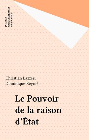 Cover of the book Le Pouvoir de la raison d'État by Alain Fine, Annick Le Guen, Agnès Oppenheimer