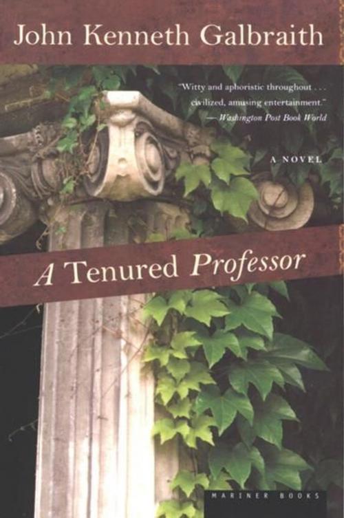 Cover of the book A Tenured Professor by John Kenneth Galbraith, HMH Books