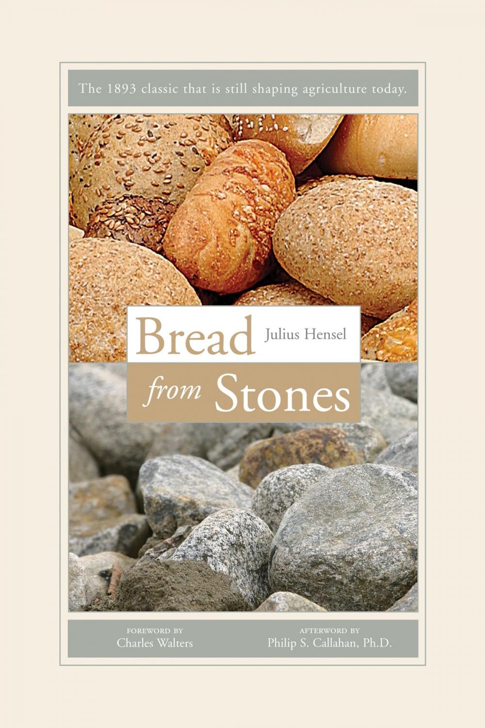 Big bigCover of Bread from Stones