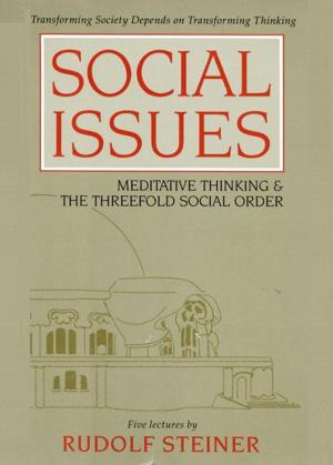 Cover of the book Social Issues: Meditative Thinking & the Threefold Social Order by Robert Powell
