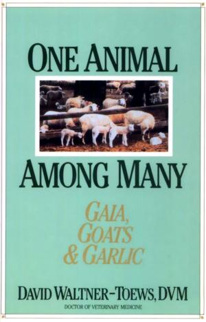 Cover of the book One Animal Among Many by Grant Karcich