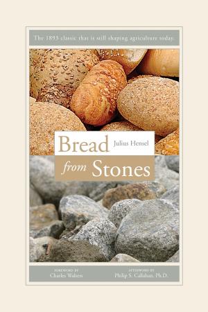 Cover of the book Bread from Stones by Dr. Harold Willis