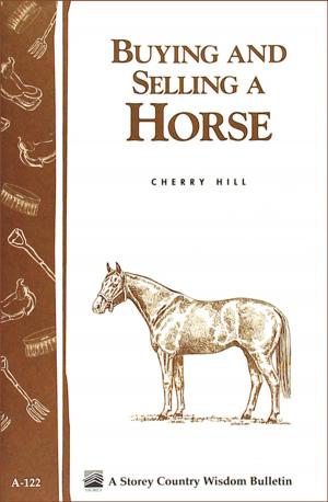 Cover of the book Buying and Selling a Horse by Rhonda Massingham Hart
