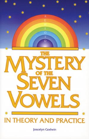 Cover of the book The Mystery of the Seven Vowels by Jerry R. Wilson