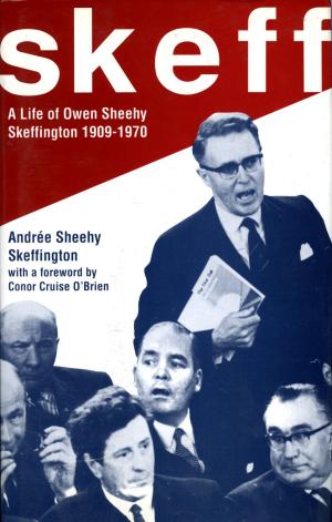 Cover of the book Skeff by Michael Taub