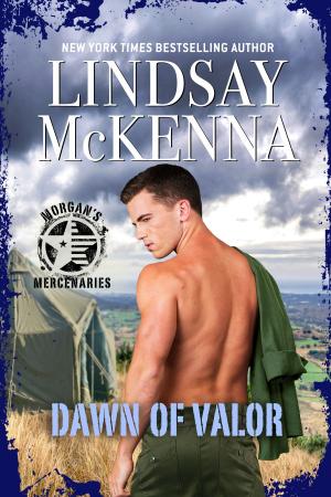 Cover of the book Dawn of Valor by Lindsay McKenna