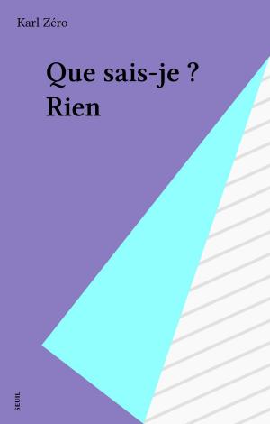 Cover of the book Que sais-je ? Rien by Jean-Louis Schefer, Philippe Sollers