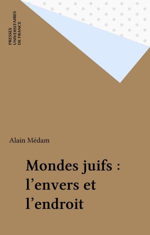 Cover of the book Mondes juifs : l'envers et l'endroit by Christian Baudelot, Roger Establet