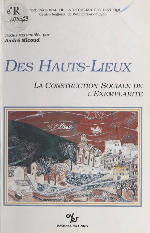 Cover of the book Des hauts lieux : la construction sociale de l'exemplarité by Jacques Lautrey