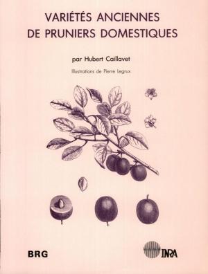 Cover of the book Variétés anciennes de pruniers domestiques by Éric Sabourin, Patrick Caron