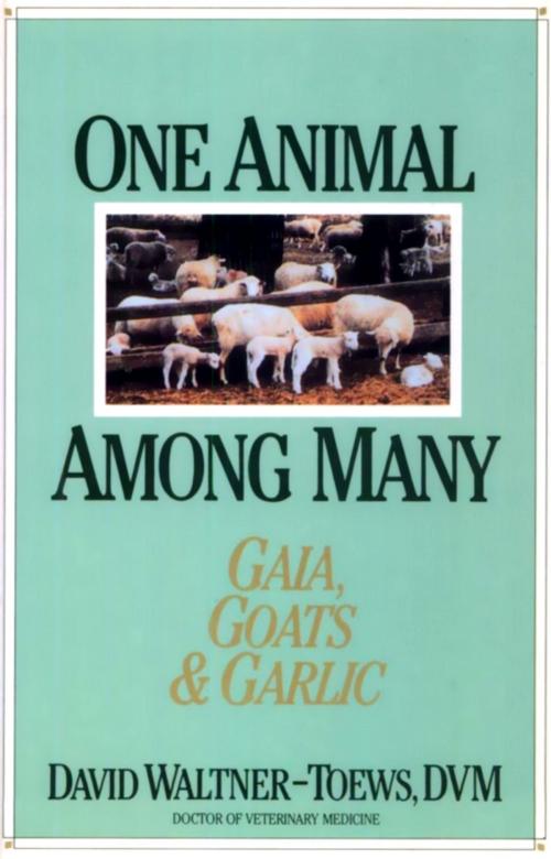 Cover of the book One Animal Among Many by David Waltner-Toews, Dundurn