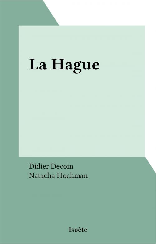 Cover of the book La Hague by Didier Decoin, Natacha Hochman, FeniXX réédition numérique