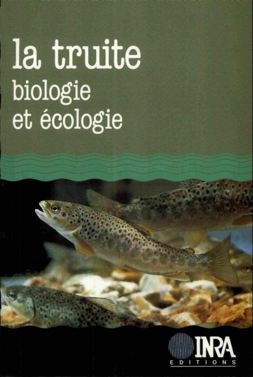 Cover of the book La truite. Biologie et écologie by Jean-Luc Baglinière, Gérard Maisse, Quae