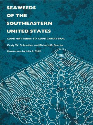 Cover of the book Seaweeds of the Southeastern United States by Jane Blocker