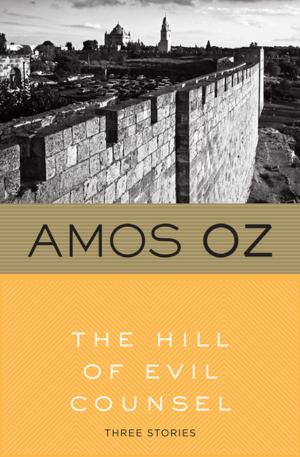 bigCover of the book The Hill of Evil Counsel by 