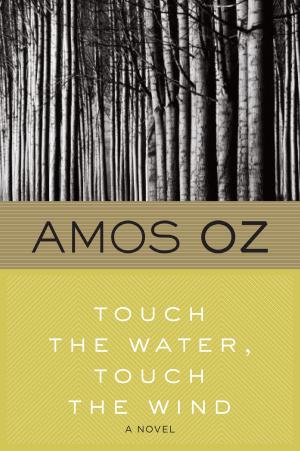 Cover of the book Touch the Water, Touch the Wind by Roger Rosenblatt
