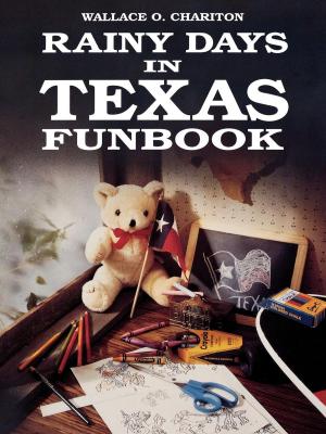 Cover of the book Rainy days in Texas funbook by William John Cox