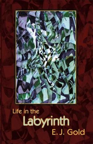 Cover of the book Life in the Labyrinth by Claudio Naranjo, MD