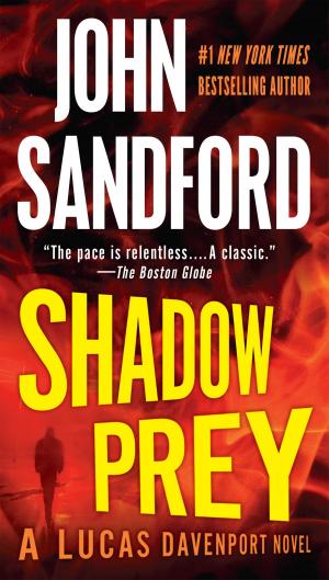 Cover of the book Shadow Prey by D.H. Eraldi