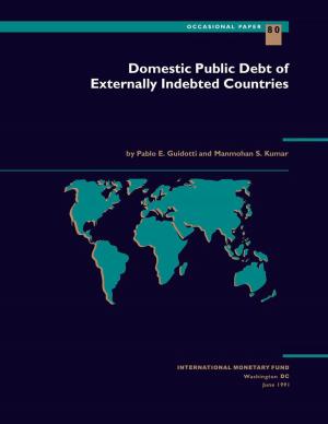 Cover of the book Domestic Public Debt of Externally Indebted Countries by International Monetary Fund. Independent Evaluation Office