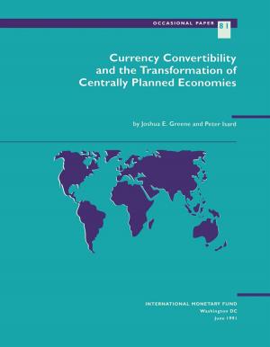 Cover of the book Currency Convertibility and the Transformation of Centrally Planned Economies by Giovanni Mr. Dell'Ariccia, Paolo Mr. Mauro, André Mr. Faria, Jonathan Mr. Ostry, Julian di Giovanni, Martin Mr. Schindler, M. Mr. Kose, Marco Mr. Terrones