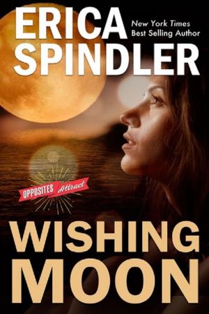 Book cover of Wishing Moon