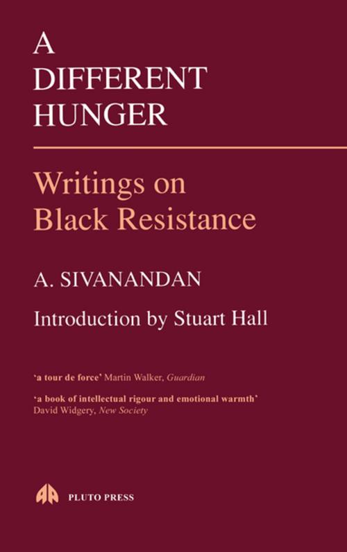 Cover of the book A Different Hunger by A. Sivanandan, Pluto Press