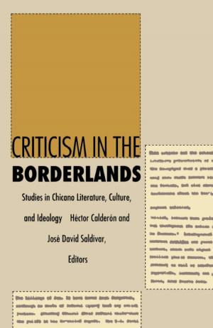 Book cover of Criticism in the Borderlands