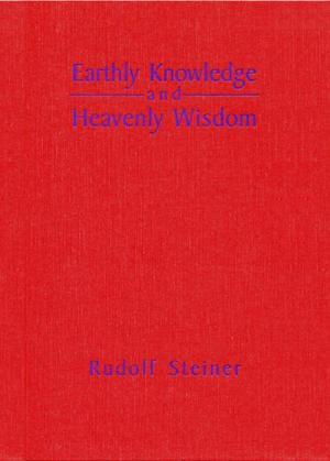 Cover of the book Earthly Knowledge and Heavenly Wisdom by Theodor Schwenk, Wolfram Schwenk