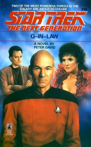 Cover of Q-in-Law by Peter David, Pocket Books/Star Trek