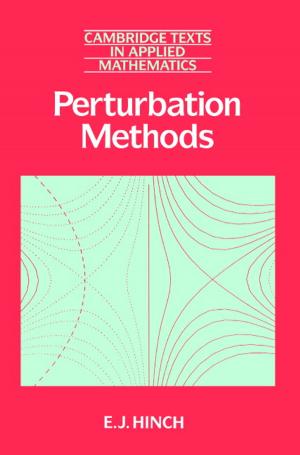 Cover of the book Perturbation Methods by Julia Hörnle