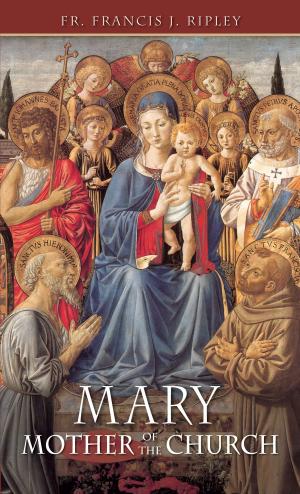 Cover of the book Mary by Vladimir Burdman Schwarz