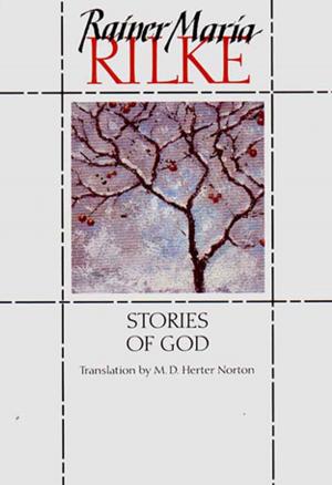 Cover of the book Stories of God by Robert Pisor, Mark Bowden