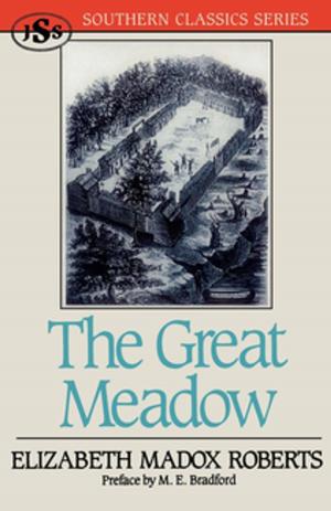 Cover of the book The Great Meadow by Johnson Jones Hooper