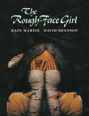 Cover of the book The Rough-Face Girl by Joan Holub